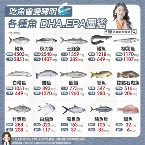 魚類價格排行 面相學額頭